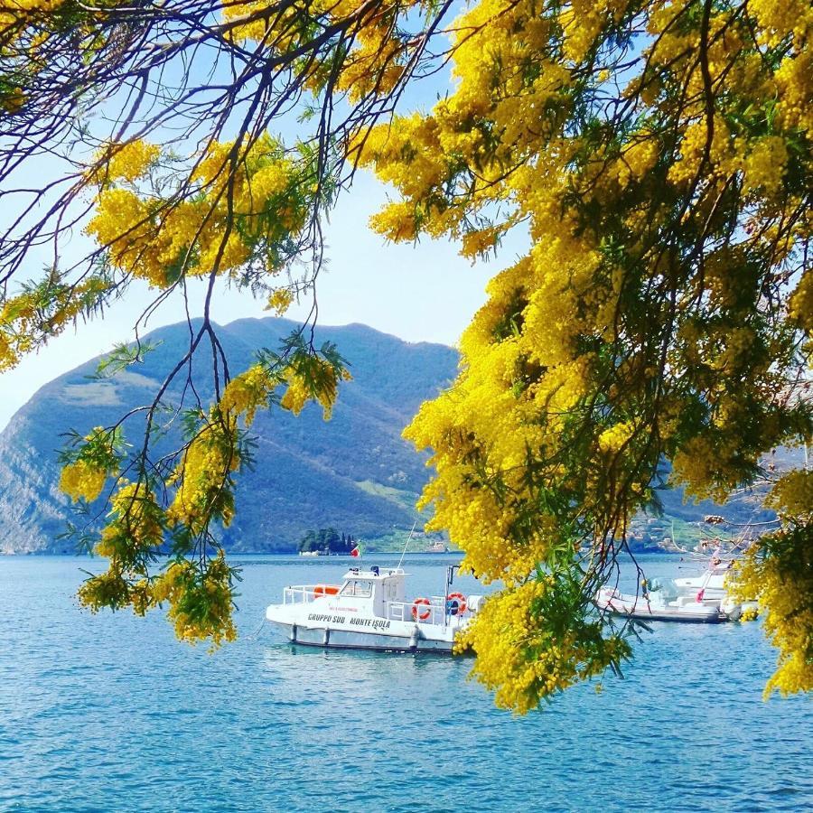 Irina'S House With View On Like And Swimming Pool Apartment Riva di Solto Exterior photo